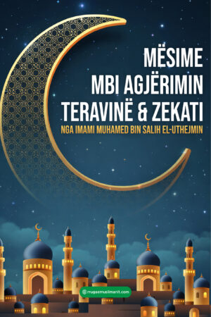 Mesime mbi Argjerimin